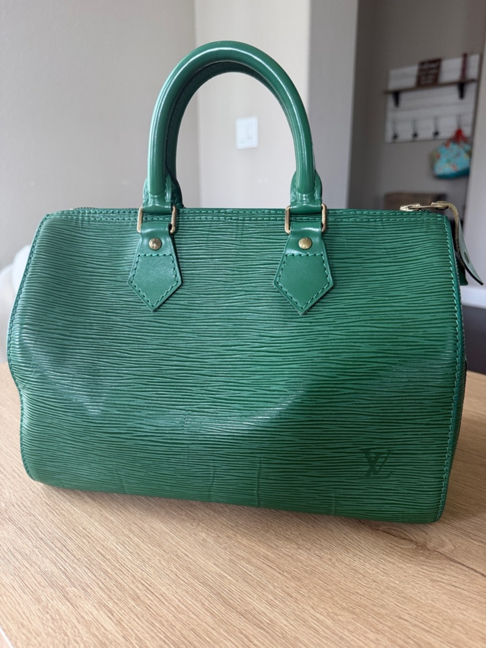 Vintage Louis Vuitton Epi Speedy 25 in Borneo Green